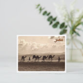 Egypte - Camels - Briefkaart (Staand voorkant)