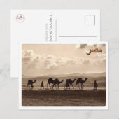 Egypte - Camels - Briefkaart (Voorkant / Achterkant)
