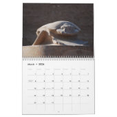 Egypte De schoonheid is in detail - Gepersonalisee Kalender (Mar 2026)