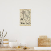 Egypte en Arabië Petraea Poster (Keuken)