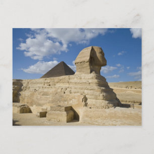 Egypte, Giza. De grote Sfinx verrijst boven de 2 Briefkaart