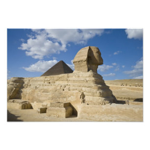 Egypte, Giza. De grote Sfinx verrijst boven de 2 Foto Afdruk