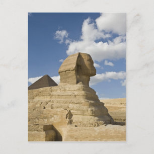 Egypte, Giza. De grote Sphynx stijgt boven de Briefkaart