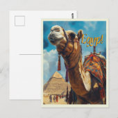 Egypte Gizeh Piramides Vintage Reizen Briefkaart (Voorkant / Achterkant)