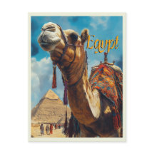 Egypte Gizeh Piramides Vintage Reizen