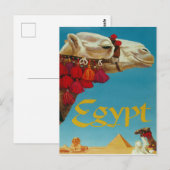 Egypte, kameel op woestijn met piramiden en sphinx briefkaart (Voorkant / Achterkant)