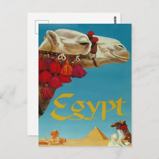 Egypte, kameel op woestijn met piramiden en sphinx briefkaart (Voorkant / Achterkant)