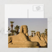 Egypte, Luxor. De Avenue Sphinxes leidt tot Briefkaart (Voorkant / Achterkant)