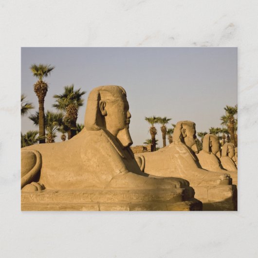 Egypte, Luxor. De Avenue Sphinxes leidt tot Briefkaart (Voorkant)