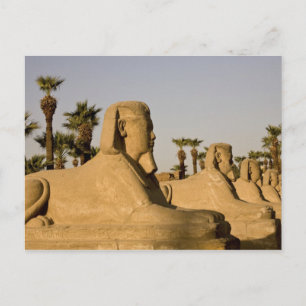Egypte, Luxor. De Avenue Sphinxes leidt tot Briefkaart