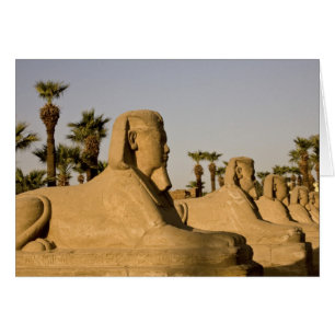 Egypte, Luxor. De Laan van Sfinxen leidt naar