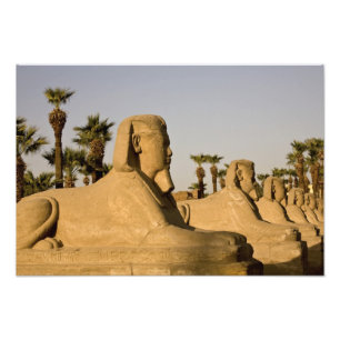 Egypte, Luxor. De Laan van Sfinxen leidt naar Foto Afdruk