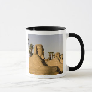 Egypte, Luxor. De Laan van Sfinxen leidt naar Mok