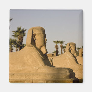 Egypte, Luxor. De Sfinxenlaan leidt naar Magneet