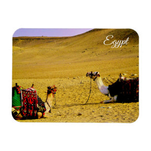 Egypte Magneet