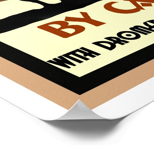 Egypte Poster (Hoek)