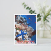 Egypte - Rood Zee - Barrier Reef - Briefkaart (Staand voorkant)