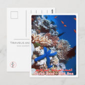 Egypte - Rood Zee - Barrier Reef - Briefkaart (Voorkant / Achterkant)