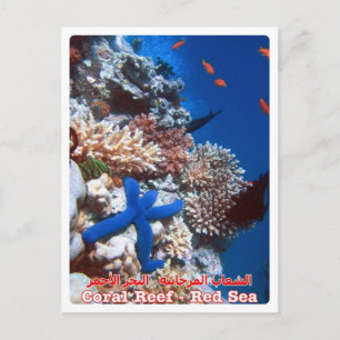 Egypte - Rood Zee - Barrier Reef - Briefkaart