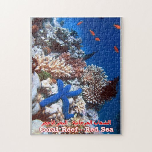 Egypte - Rood Zee - Barrier Reef - Legpuzzel (Verticaal)