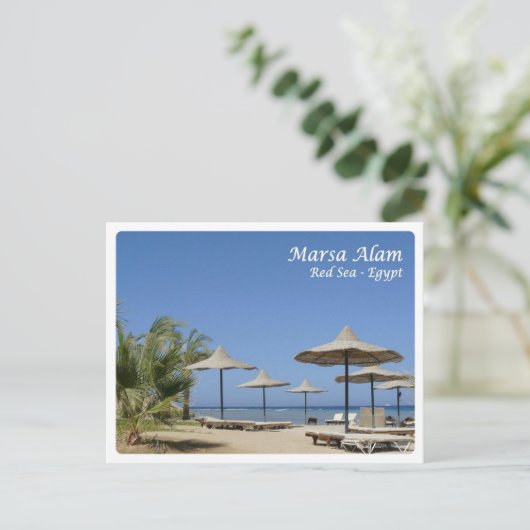 Egypte - Rood Zee - Marsa Alam - Briefkaart (Staand voorkant)