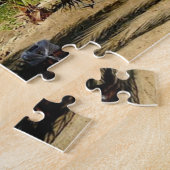 Egypte - Rood Zee - Marsa Alam - Legpuzzel (Zijkant)