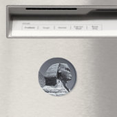 Egypte, Sphinx, Oude Caïro (Magnet) Magneet (Insitu (Vaatwasser))