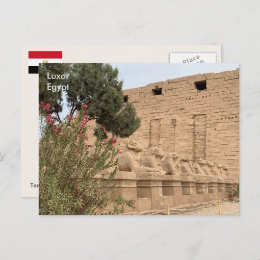 Egypte, Temple of Karnak, Luxor. Briefkaart (Voorkant / Achterkant)