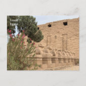 Egypte, Temple of Karnak, Luxor. Briefkaart (Voorkant)