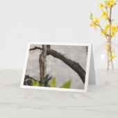 Egyptian Grasshopper in Tree Kaart (Gele Bloem)