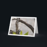 Egyptian Grasshopper in Tree Kaart<br><div class="desc">Egyptian Grasshopper in Tree Greeting Card. You can easily customize this product for free if you would like to add wording or change the color of the background.</div>