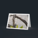 Egyptian Grasshopper in Tree Kaart<br><div class="desc">Egyptian Grasshopper in Tree Greeting Card. You can easily customize this product for free if you would like to add wording or change the color of the background.</div>