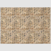 Egyptian hieroglyphics Birds Pattern 2 Tissuepapier (Voorkant)
