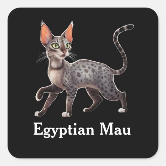 Egyptian Mau Vierkante Sticker (Voorkant)
