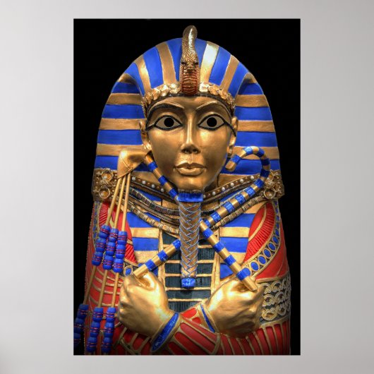 EGYPTIAN PHARAOH'S BINNER SARCOPHAGUS POSTER (Voorkant)