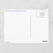 EGYPTIAN SCARAB BEETLE Collectie Briefkaart (Achterkant)