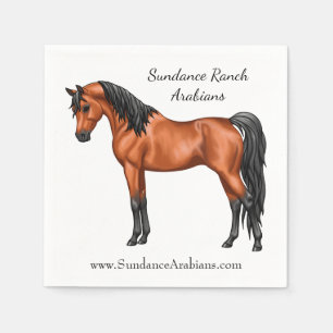 Egyptisch Arabisch paard Servet