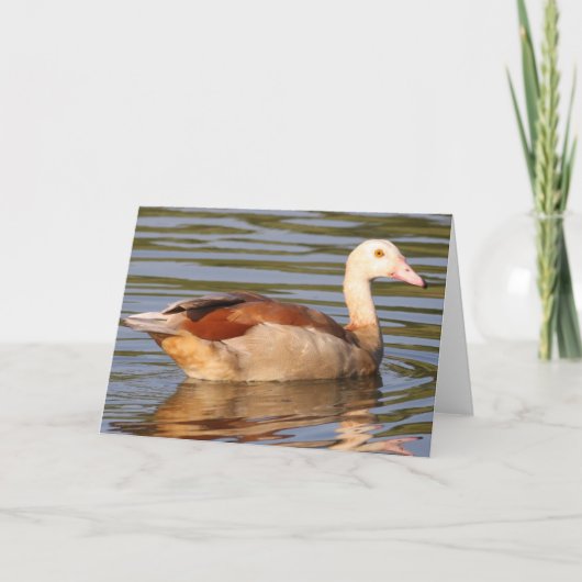 Egyptisch Goose Wenskaart Kaart (Voorkant)