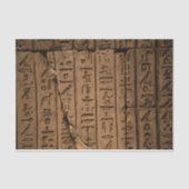 Egyptisch Hieroglyphics-weefselboek Tissuepapier (Voorkant)