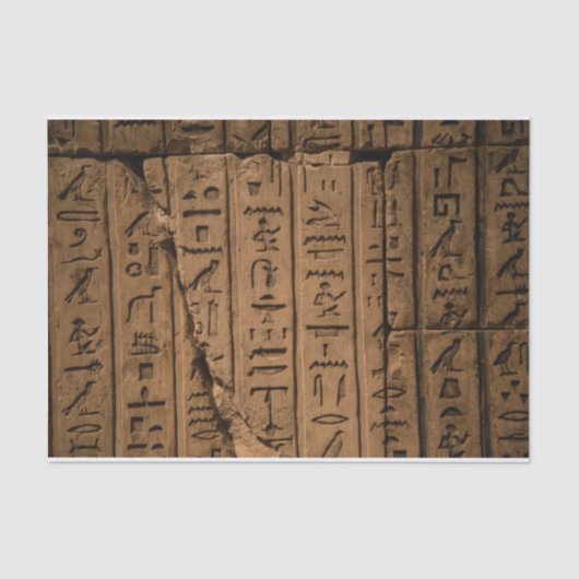 Egyptisch Hieroglyphics-weefselboek Tissuepapier (Voorkant)