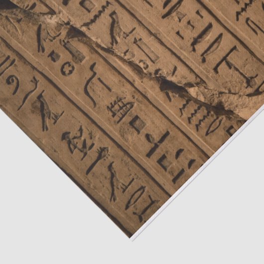 Egyptisch Hieroglyphics-weefselboek Tissuepapier (Detail)