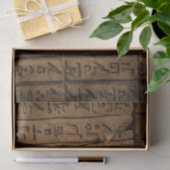 Egyptisch Hieroglyphics-weefselboek Tissuepapier (Geschenk)