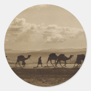 Egyptisch kameelvervoer die over Olivet, 1918 Ronde Sticker