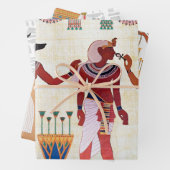 Egyptisch koninklijk ontwerp inpakpapier vel (In situ)