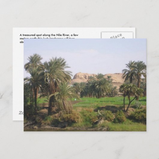 Egyptisch landschap briefkaart (Voorkant / Achterkant)