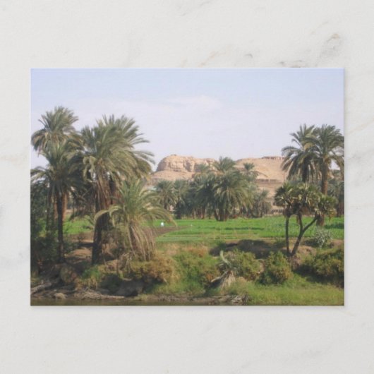 Egyptisch landschap briefkaart (Voorkant)