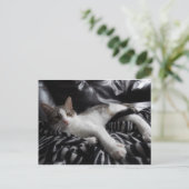 Egyptisch Mau Mix  Briefkaart (Staand voorkant)