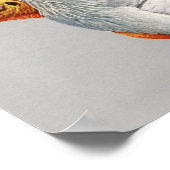  Egyptisch Poster voor de Vultuur (Hoek)