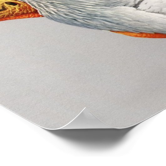  Egyptisch Poster voor de Vultuur (Hoek)