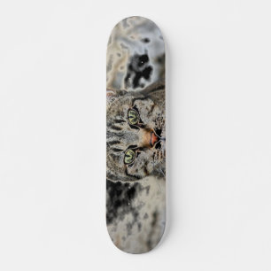 Egyptisch skateboard